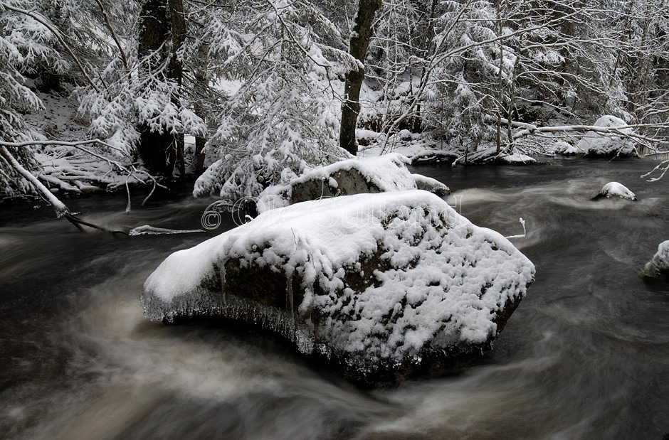 Stein i bekk vinter