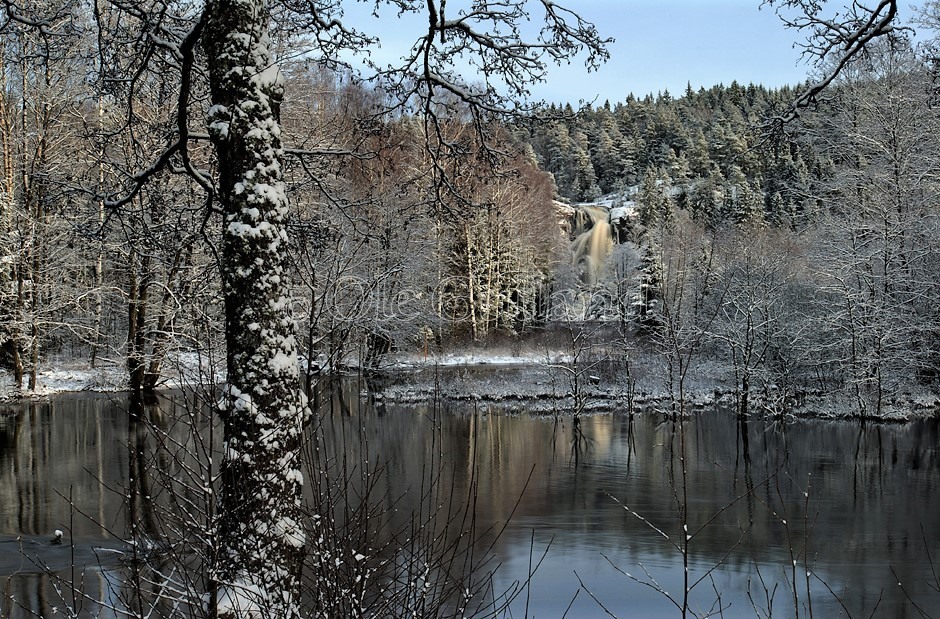 Elgåfossen vinter