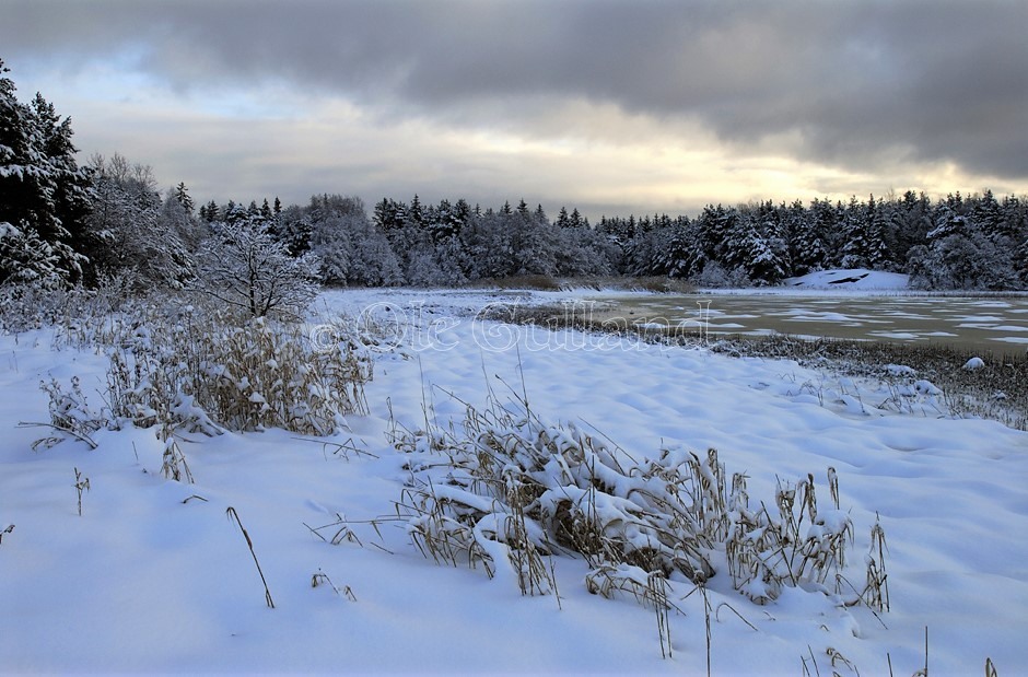 Bevø vinter