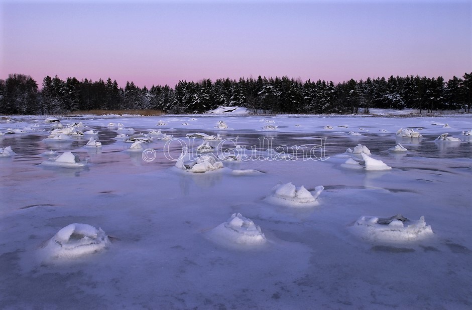 Bevø vinter