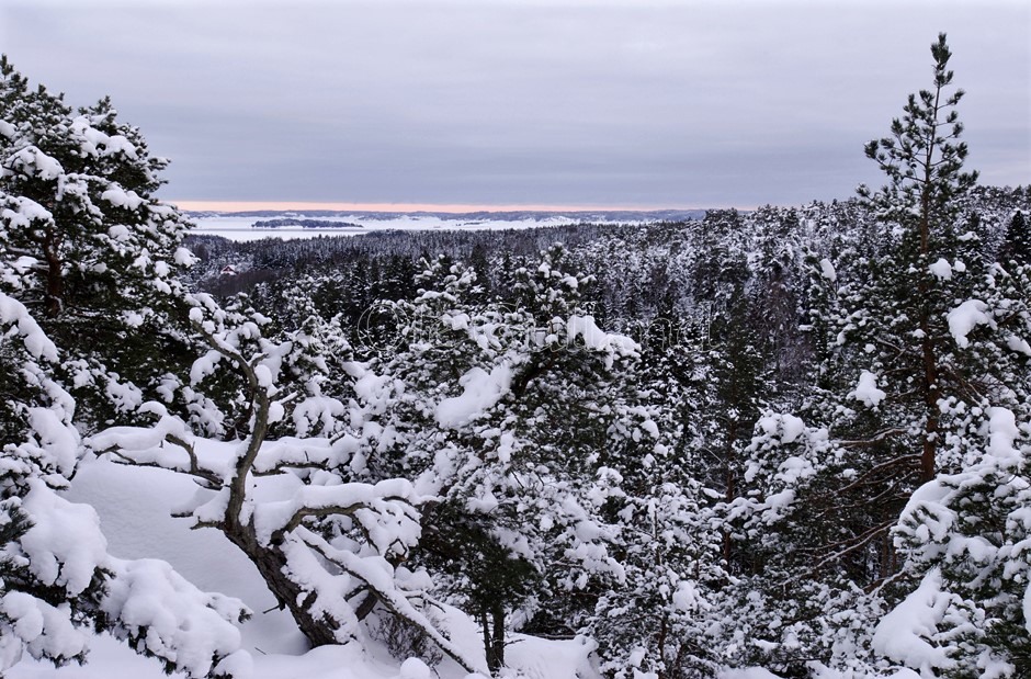 Mjølnaren vinter