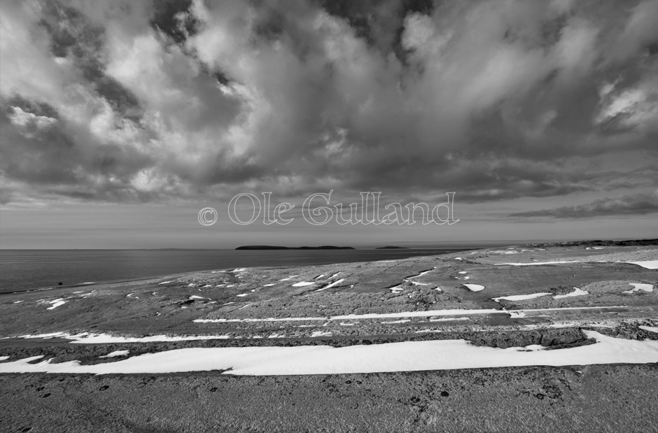 Vesterøy