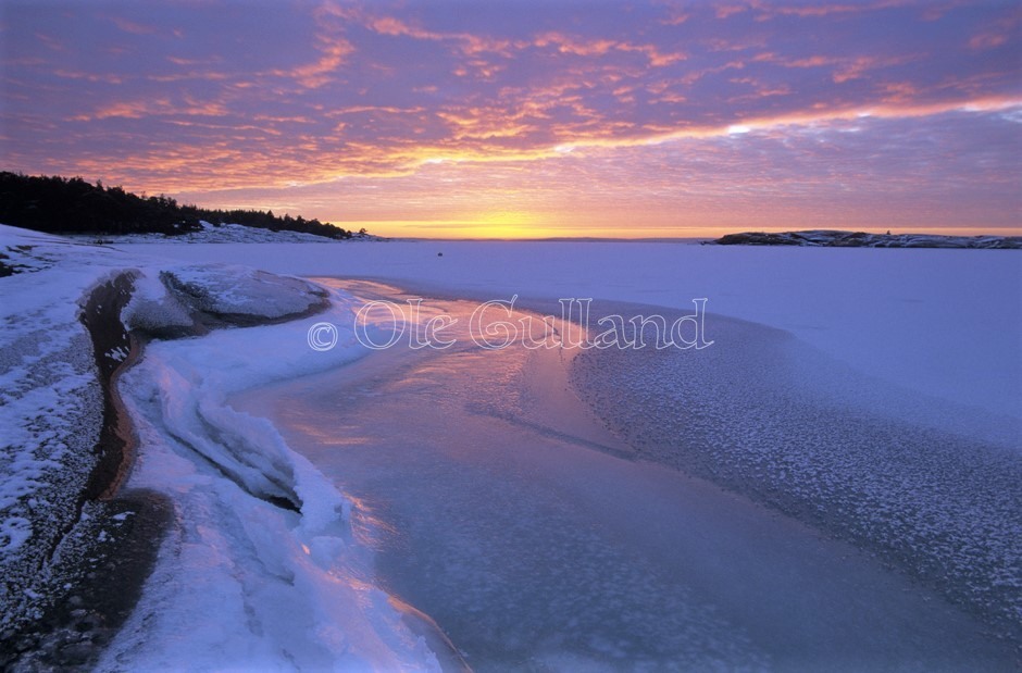 Bevø vinter