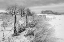 Kulturlandskap Råde vinter