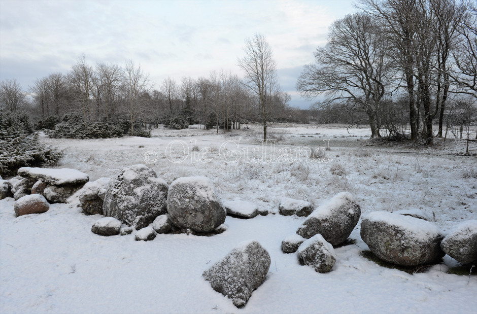 Storenga vinter