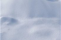 Bevø vinter