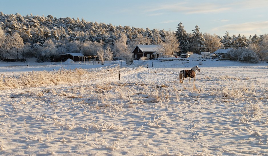 Brevik vinter