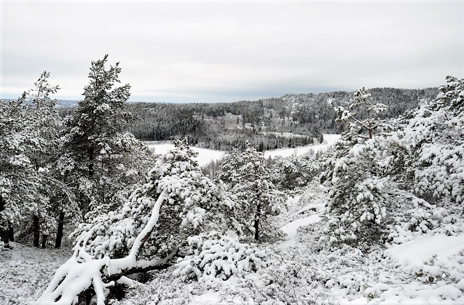 Ravneberget vinter