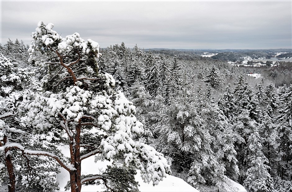 Ravneberget vinter