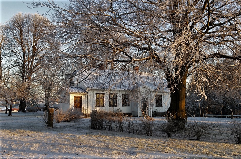 Roald Amundsens minde vinter