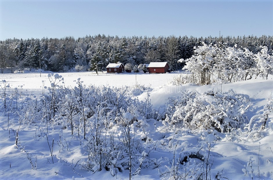 Husmannsplassen Volden  ,Vinter