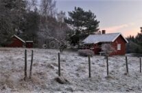 Husmannsplassen, Østre Myra