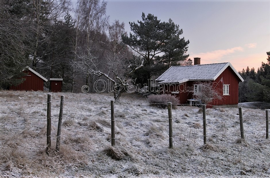 Husmannsplassen, Østre Myra