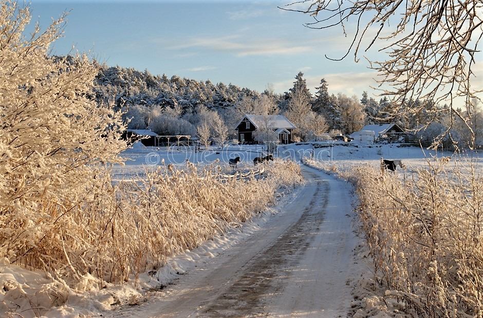 Brevik vinter