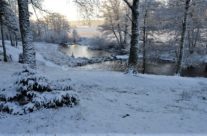 Mølledammen vinter