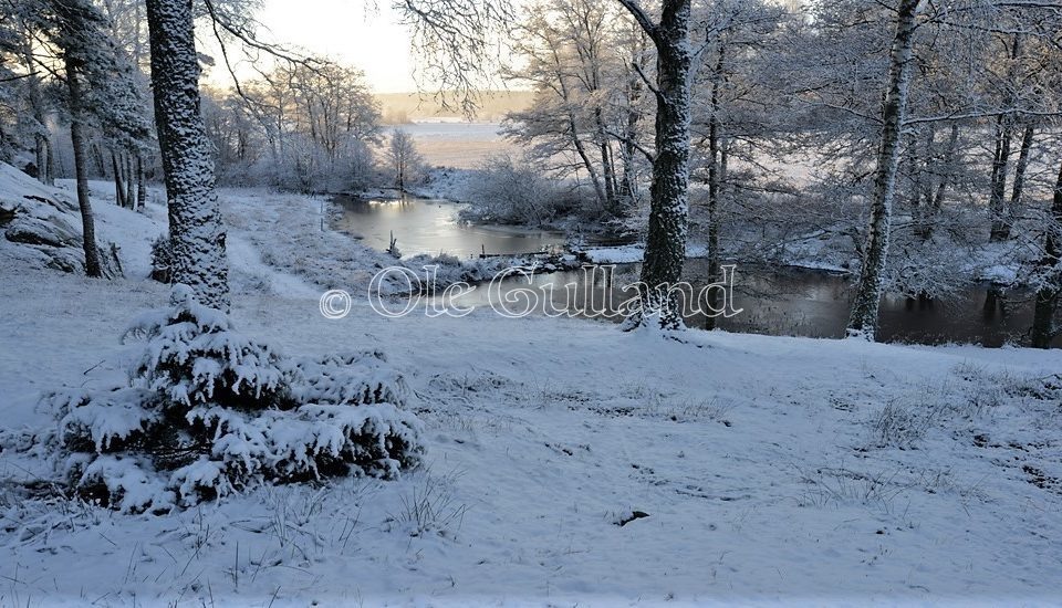 Mølledammen vinter