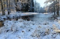 Mølledammen vinter