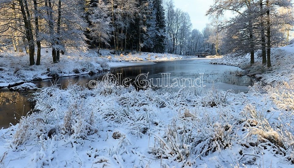 Mølledammen vinter