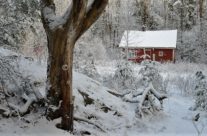 Husmannsplassen Munken