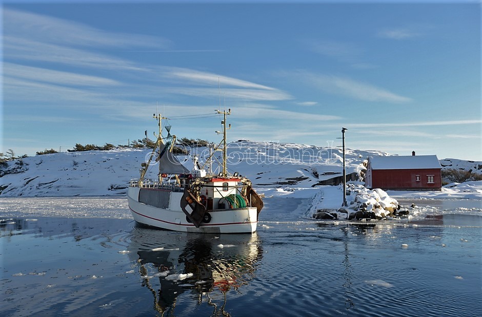 Fiskeskøyte Utgårdkilen vinter