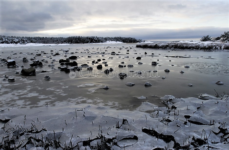 Bevø vinter