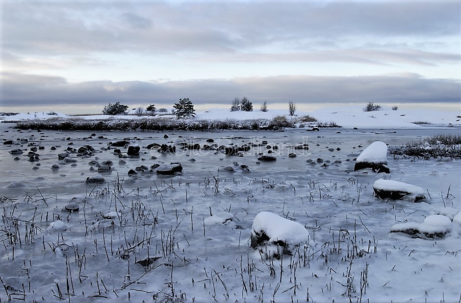 Bevø vinter