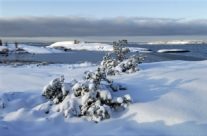 Bevø vinter