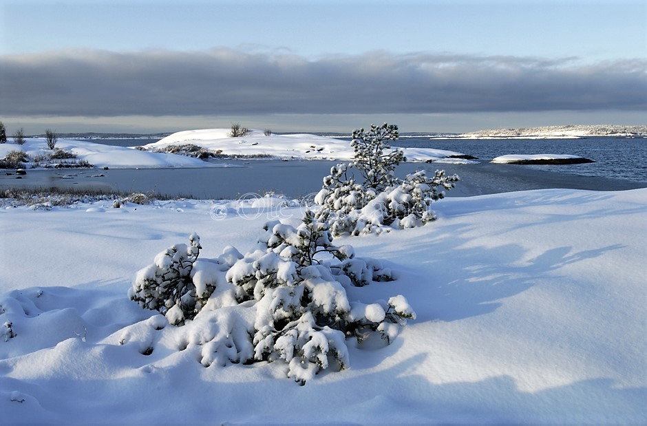 Bevø vinter