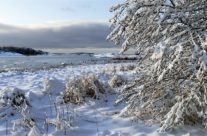 Bevø vinter