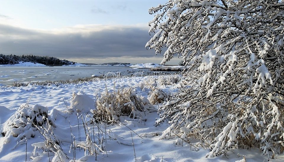 Bevø vinter