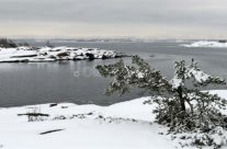 Bevøtangen vinter