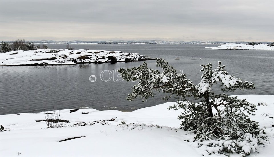 Bevøtangen vinter