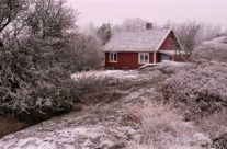 Storenga vinter