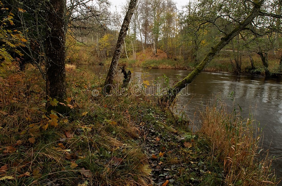 Høst i Enningdalen