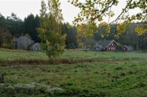 Husmannsplassen Langvik
