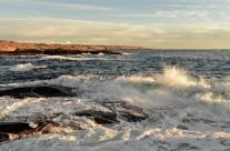 Hverven , Vesterøy