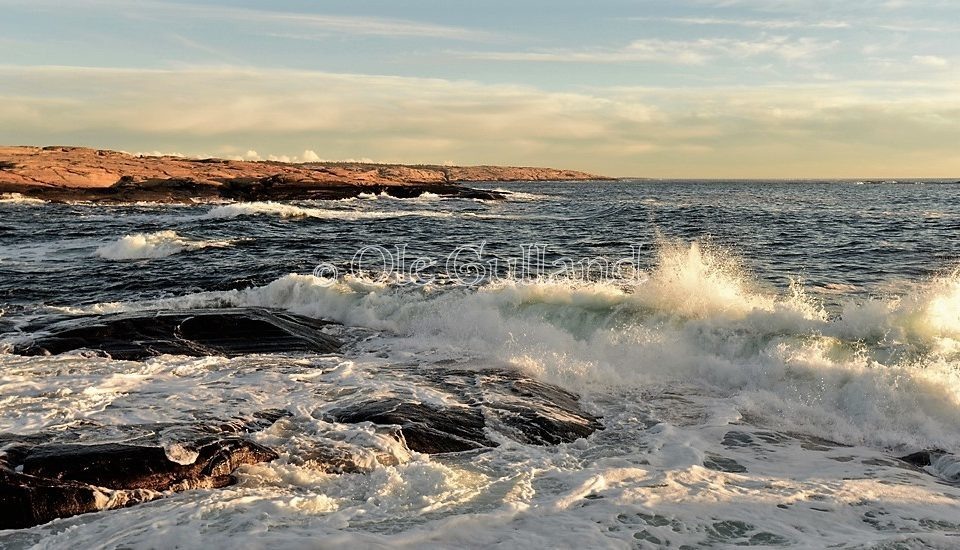 Hverven , Vesterøy