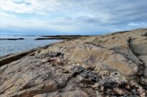 Vesterøy