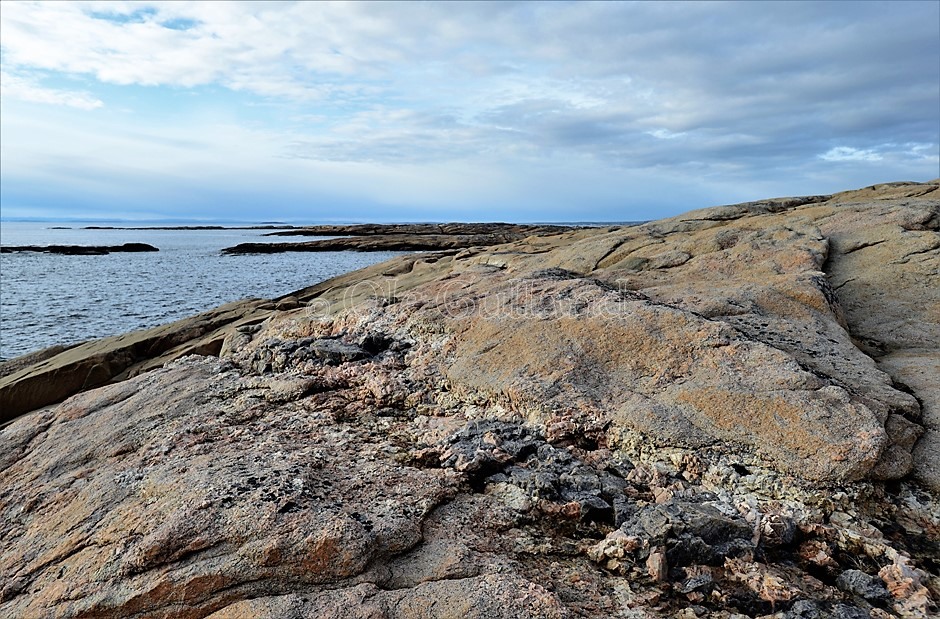 Vesterøy