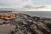 Vesterøy , vest for Hverven