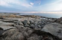 Vesterøy , vest for Hverven