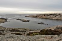 Stenbukta , Guttormsvauen , Vesterøy