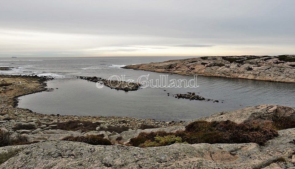 Stenbukta , Guttormsvauen , Vesterøy