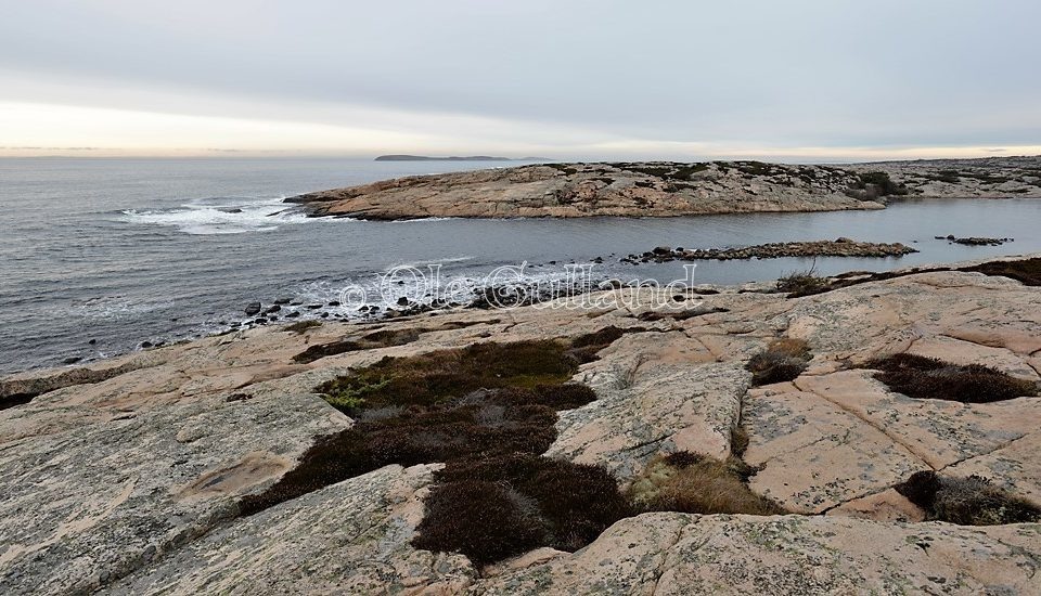 Guttormsvauen , Vesterøy