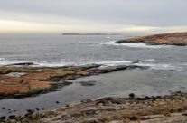Ytterst i Guttormsvauen , Vesterøy