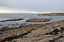 Guttormsvauen , Vesterøy