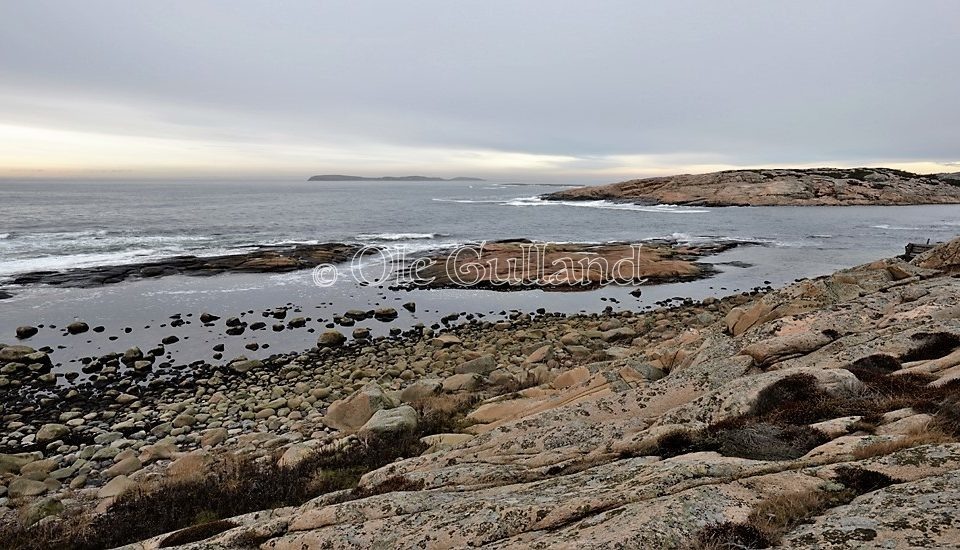 Guttormsvauen , Vesterøy