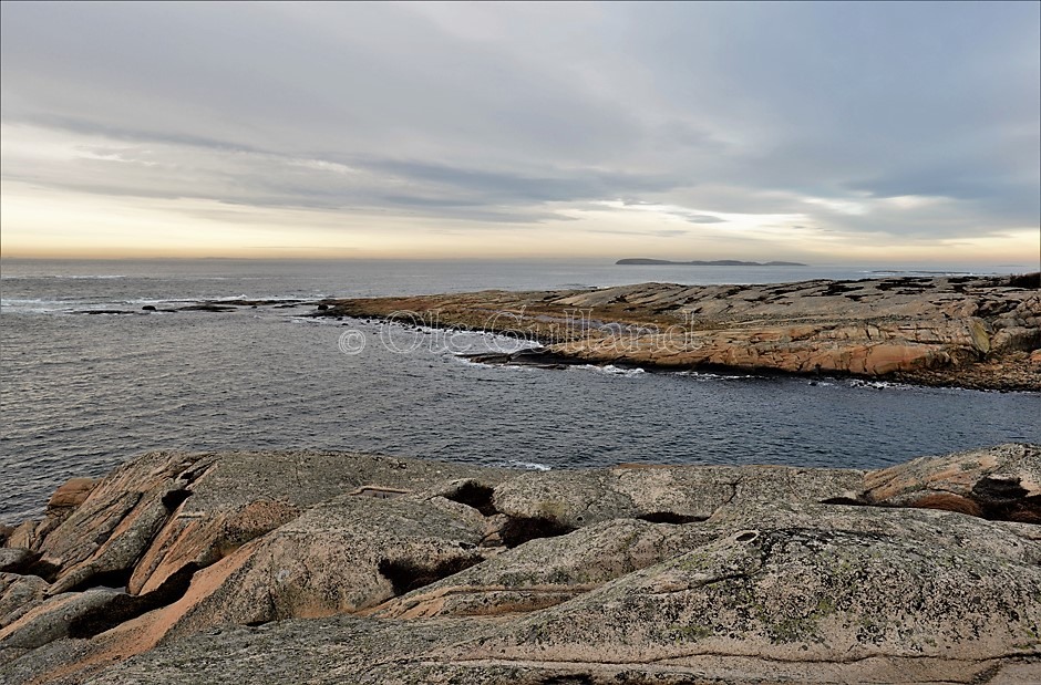 Grøtvika og Mølodden , Vesterøy