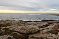 Grøtvika og Mølodden , Vesterøy
