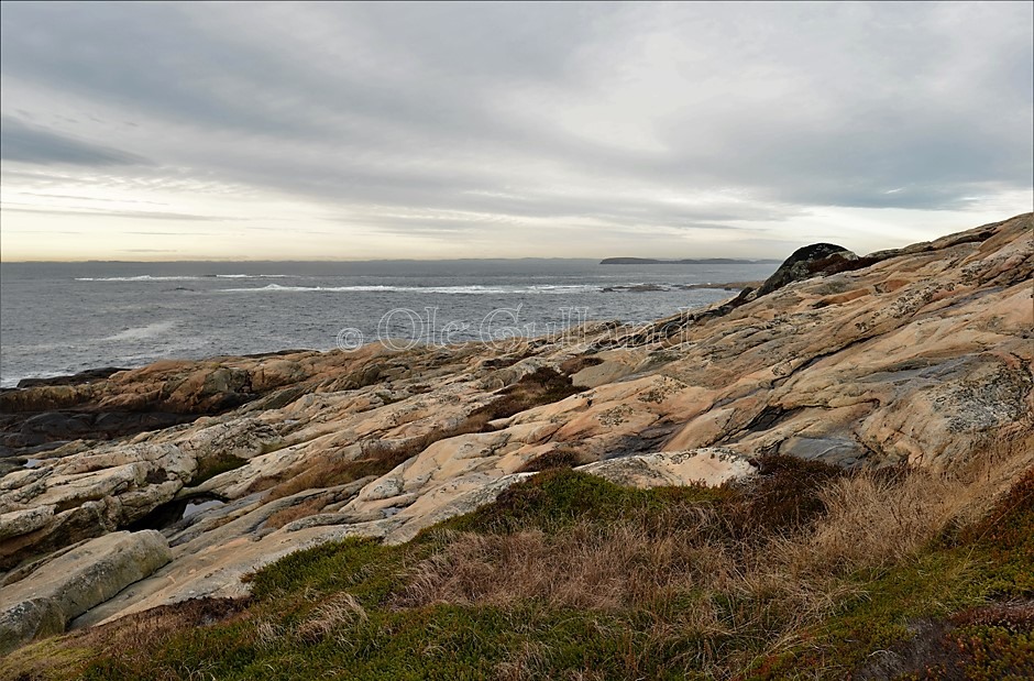 Bastangen , Vesterøy